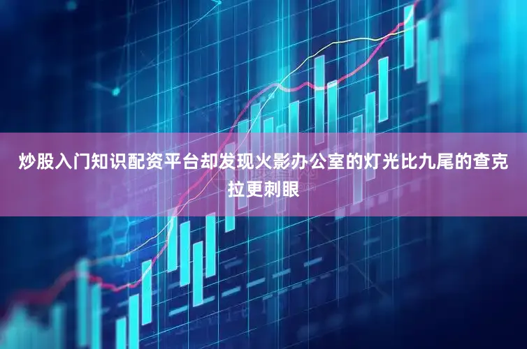炒股入门知识配资平台却发现火影办公室的灯光比九尾的查克拉更刺眼