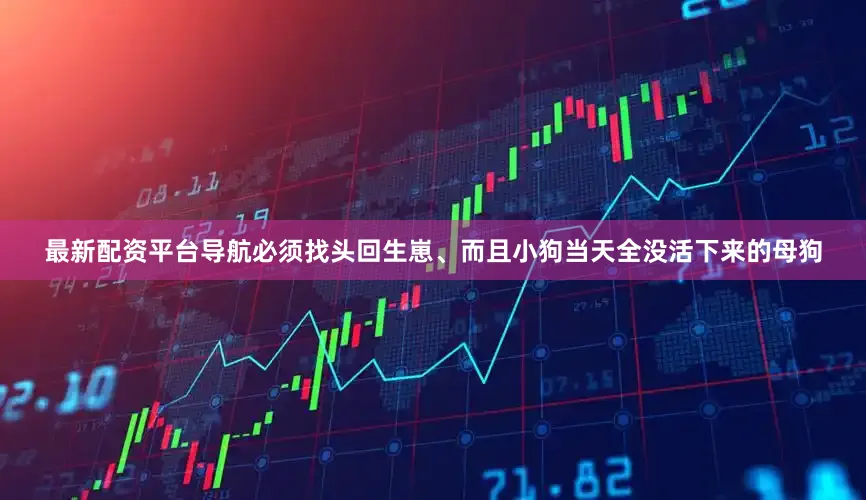 最新配资平台导航必须找头回生崽、而且小狗当天全没活下来的母狗