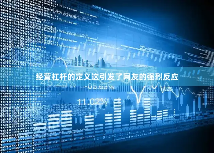 经营杠杆的定义这引发了网友的强烈反应