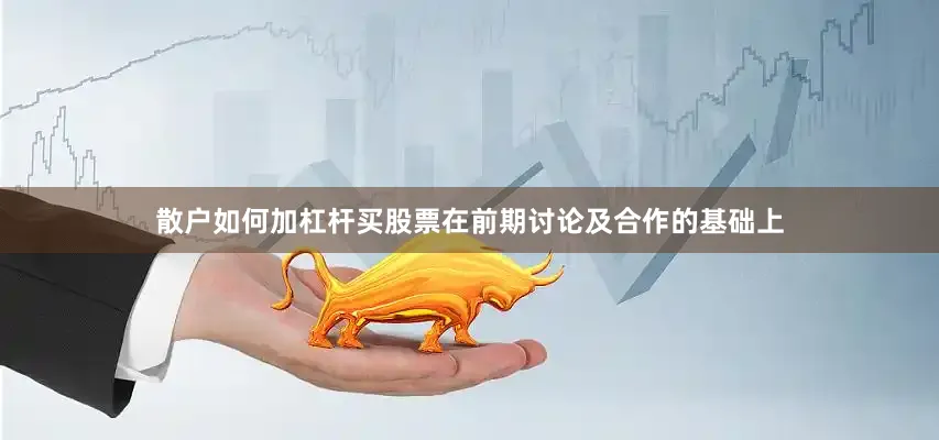 散户如何加杠杆买股票在前期讨论及合作的基础上